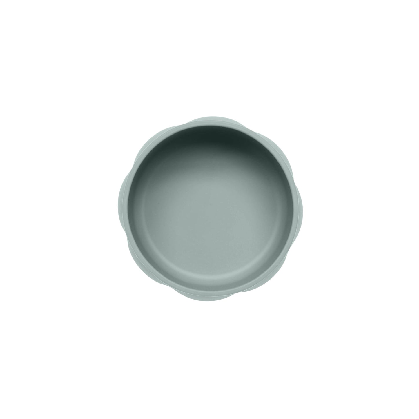 The Bondi Suction Bowl