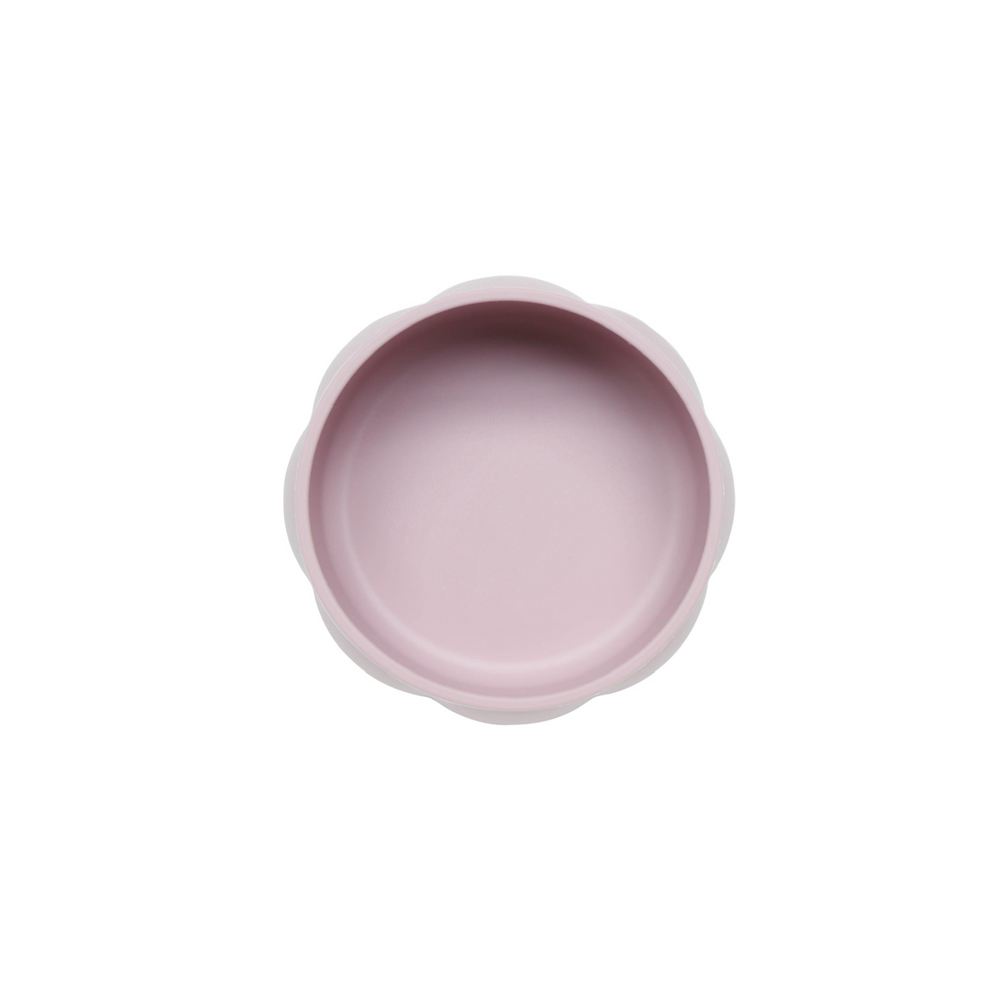 The Bondi Suction Bowl
