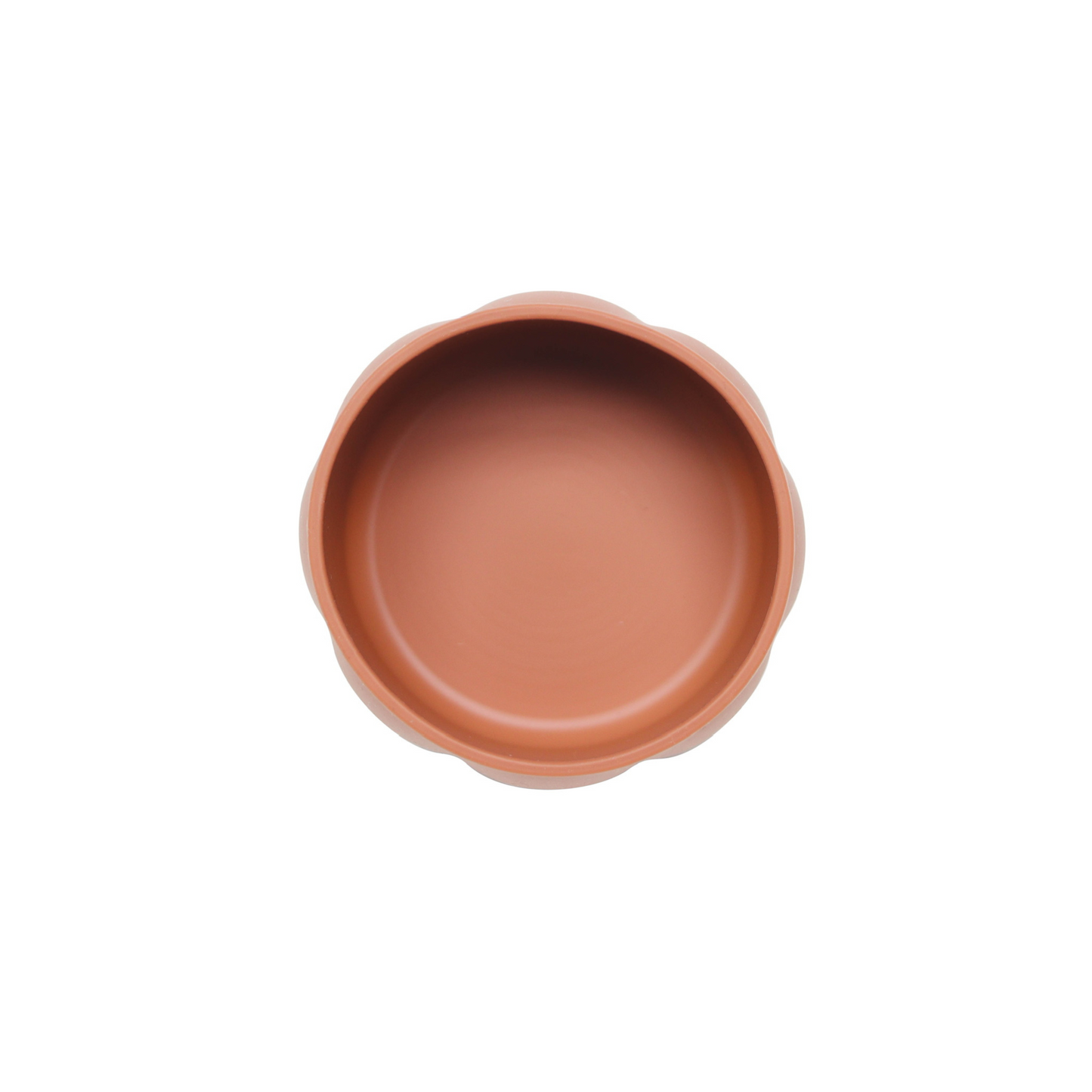 The Bondi Suction Bowl